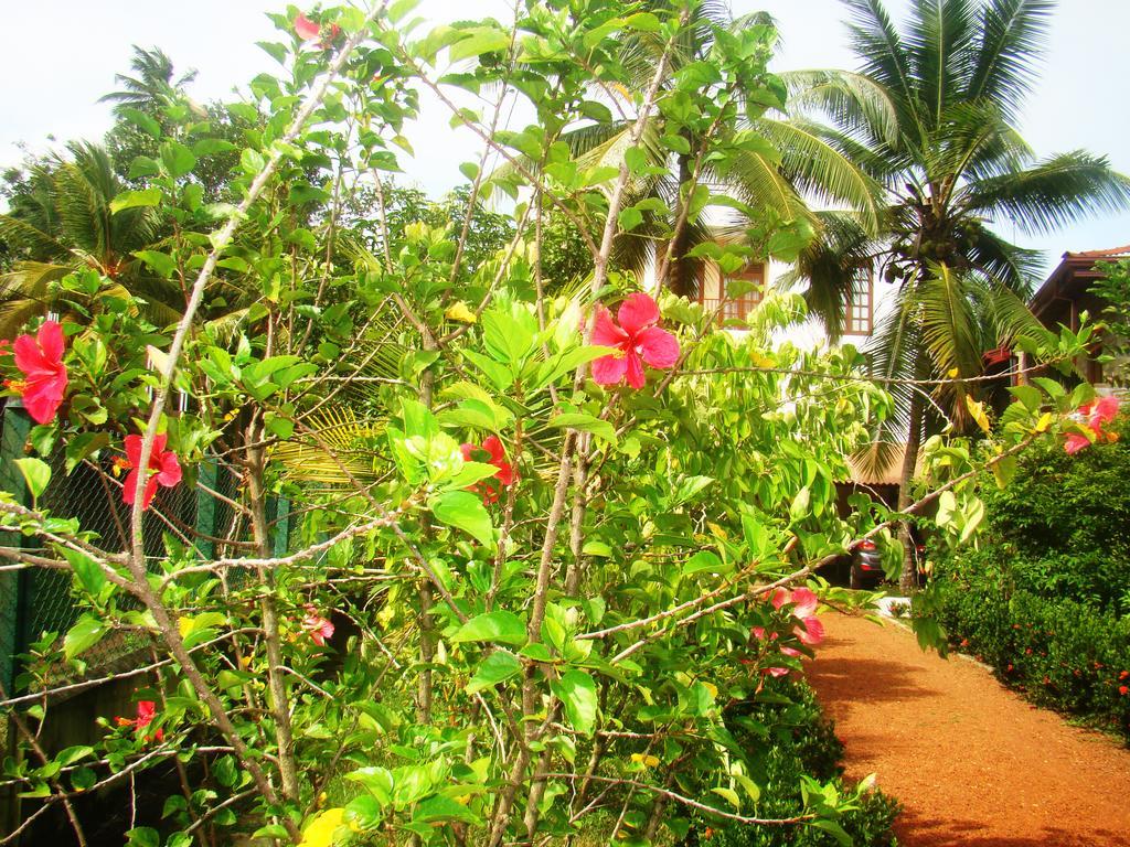 Bentota Homes Buitenkant foto
