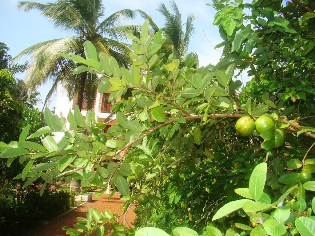 Bentota Homes Buitenkant foto